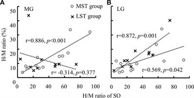 The effect of loss of foot sole sensitivity on H-reflex of triceps surae muscles and functional gait